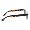 Lentes de Sol Chilli Beans Lausana Transparente - Animal Print Verde