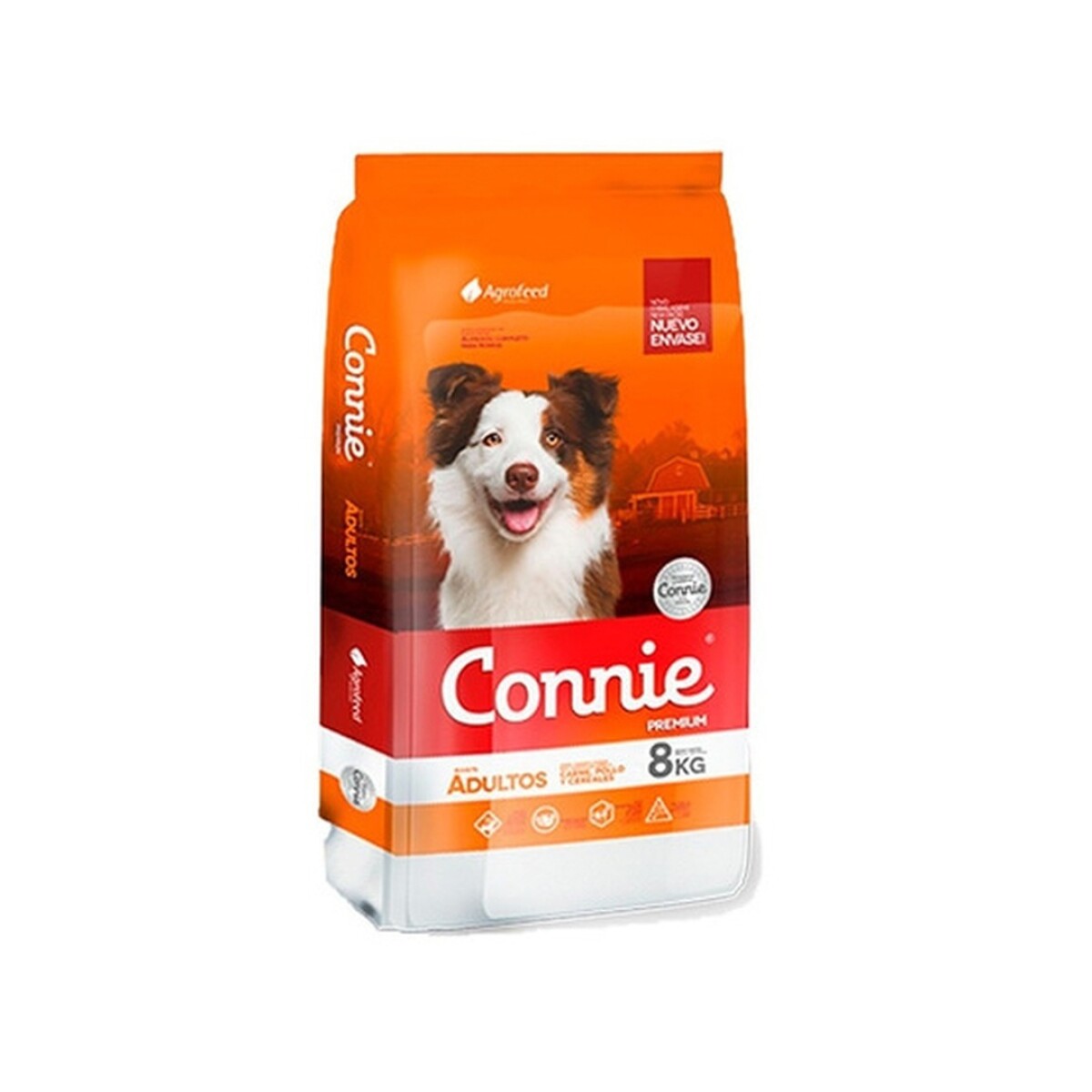 CONNIE PERRO 8K ADULTOS 