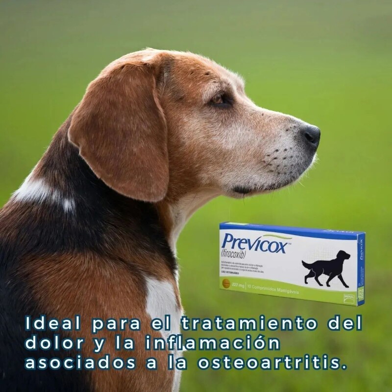 PREVICOX 227 MG 10 COMPRIMIDOS PREVICOX 227 MG 10 COMPRIMIDOS