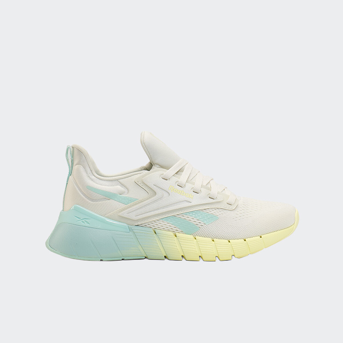 Championes Reebok Nano Gym - Gris 