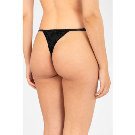 Colaless tiritas destina Negro