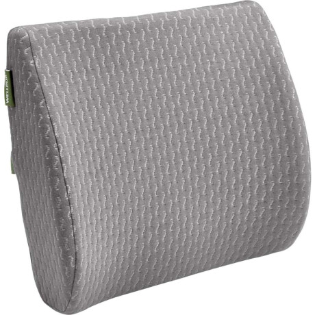 Almohada Lumbar 34X36X12/6 Wellpur Rygge