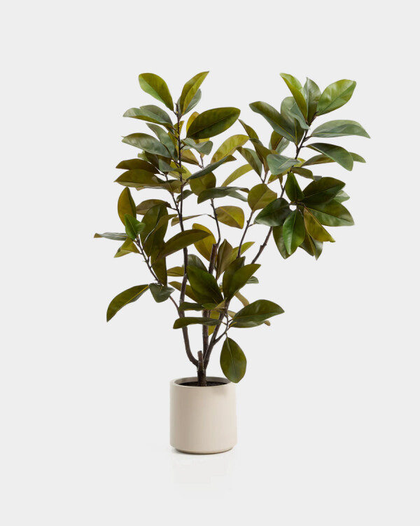 Árbol artificial Magnolia con maceta blanca 160 cm Árbol artificial Magnolia con maceta blanca 160 cm