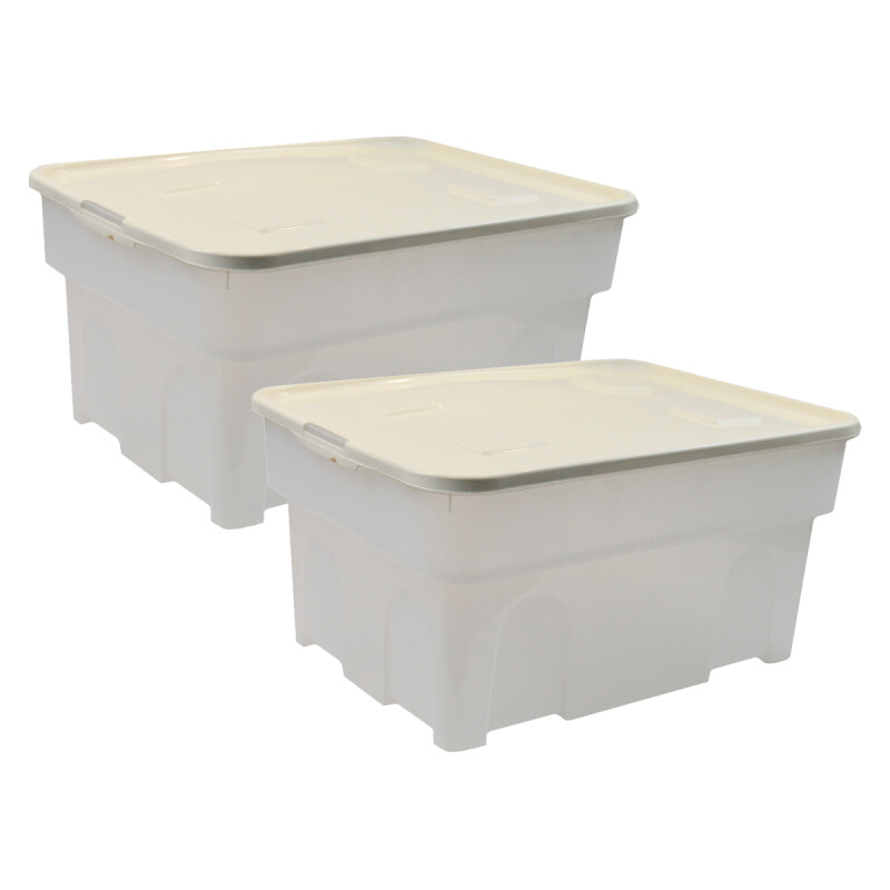 Set x2 Caja organizadora 65 lts BEIGE