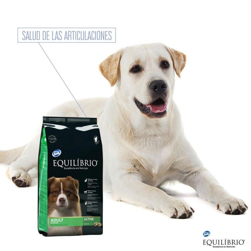 EQUILIBRIO PERROS ADULTOS TODAS LAS RAZAS ACTIVE 15 + 3 KG