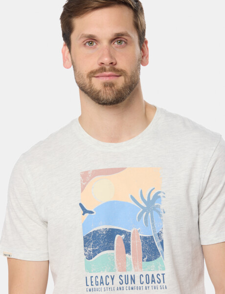REMERA ESTAMPADA Gris