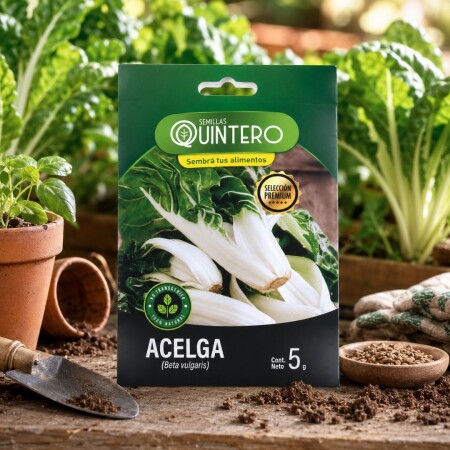 SEMILLA DE ACELGA BLANCA DE LYON 5 GRAMOS SEMILLA DE ACELGA BLANCA DE LYON 5 GRAMOS