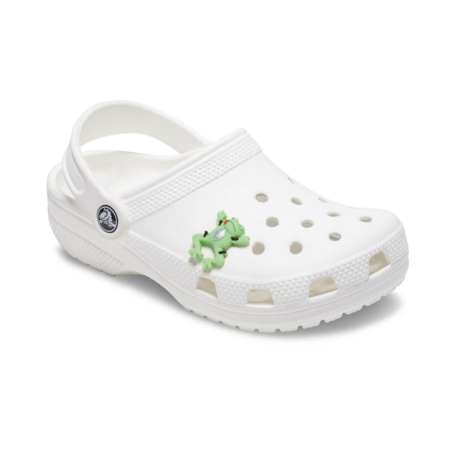 Jibbitz Dissecting Frog Multicolor