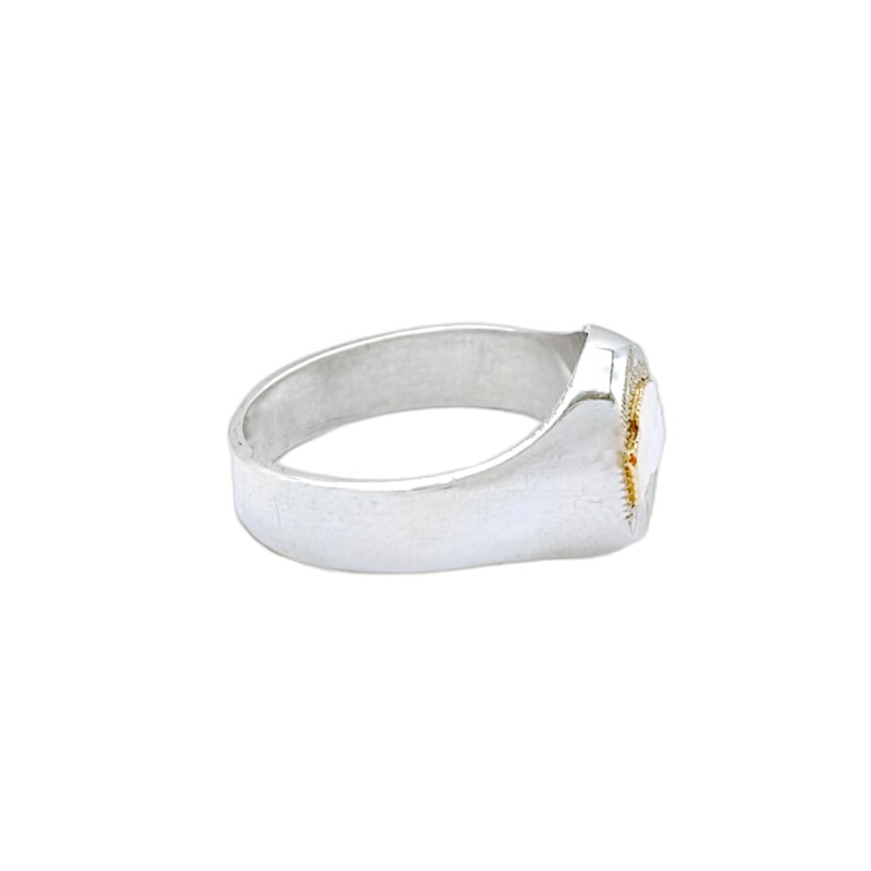 Anillo Profesión Asistente social-Plata y Oro-Sin Piedra-AP5001 Sinpiedra