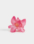 Broche Con flores Broche Con Flores - Rosa Oscuro