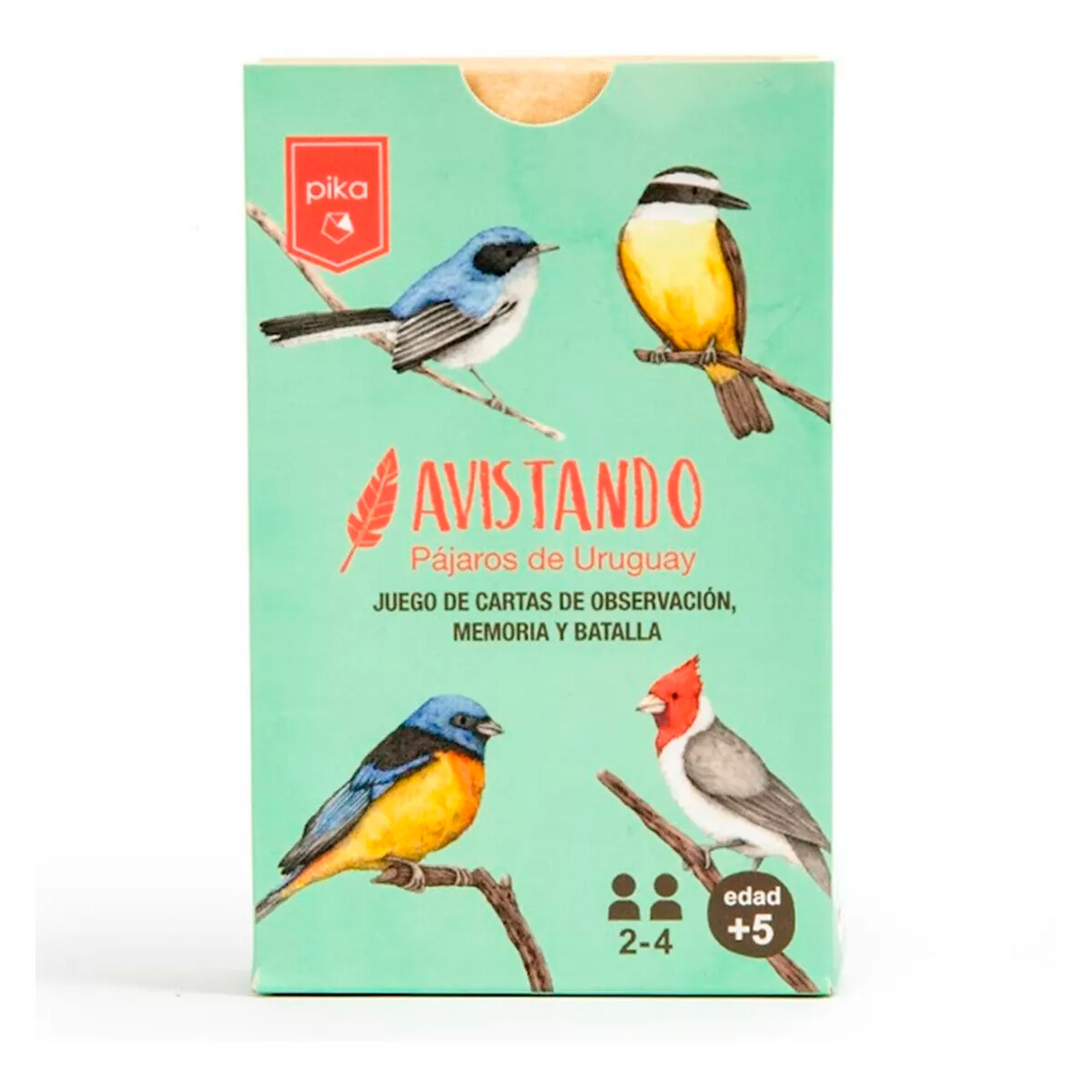 Cartas Avistando Pájaros De Uruguay - S/C 