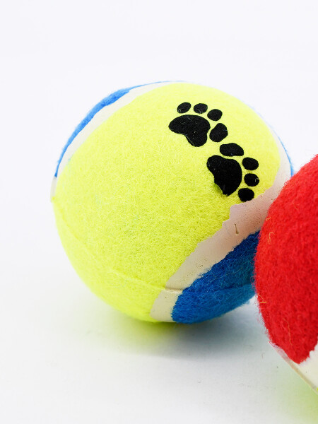 SET X2 PELOTAS TENIS VERDE