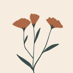 Dia de la madre flores