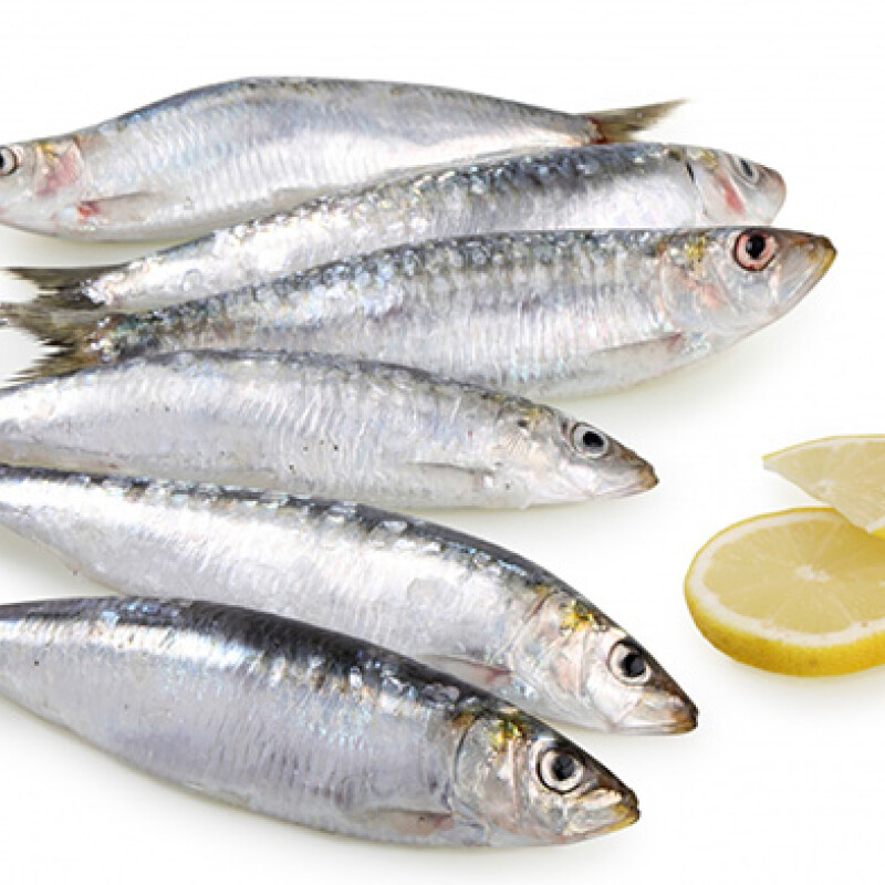 Sardina entera Española - 1 kg Sardina entera Española - 1 kg