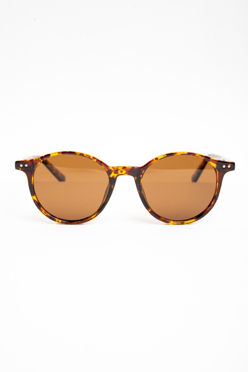 Lentes De Sol Polarizados Marron