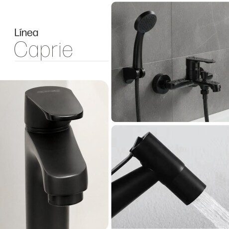 JUEGO DE GRIFERIA MONOCOMANDO MATE CAPRIE NEGRO