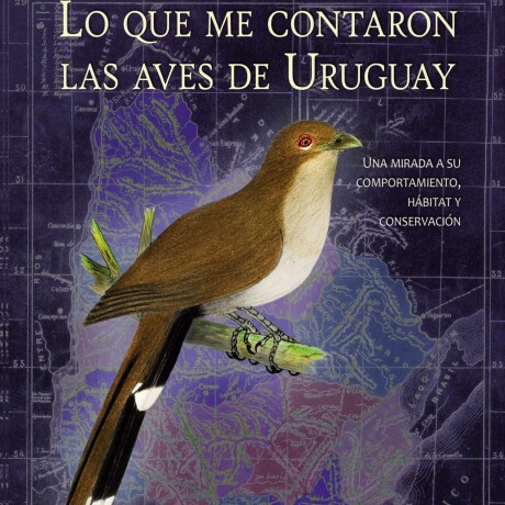 QUE ME CONTARON LAS AVES DE URUGUAY LO QUE ME CONTARON LAS AVES DE URUGUAY LO