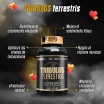 TRIBULUS TERRESTRIS LANDERFIT FR. X 90 C única