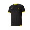 CAMISETA PEÑAROL PUMA TEAMLIGA JERSEY 26