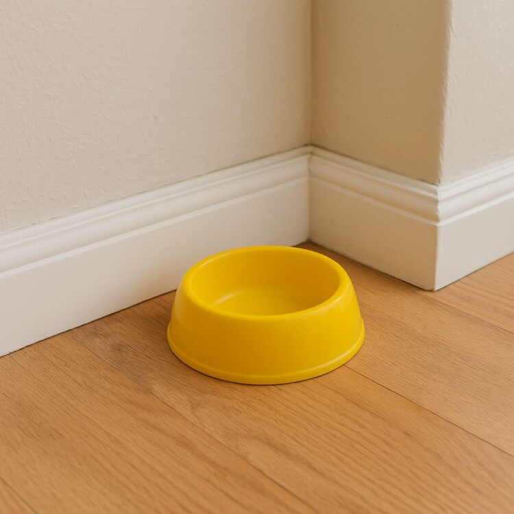 PLATO PARA MASCOTA PLASTICO 13CM PLATO PARA MASCOTA PLASTICO 13CM