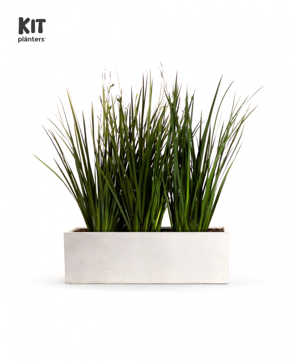 KIT Jardinera - "Natural" 1m* 30cm* 30cm* C/Dietes y Sustratos 