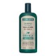 CAPILATIS ORTIGA SHAMPOO GRASO CONC 420 CAPILATIS ORTIGA SHAMPOO GRASO CONC 420