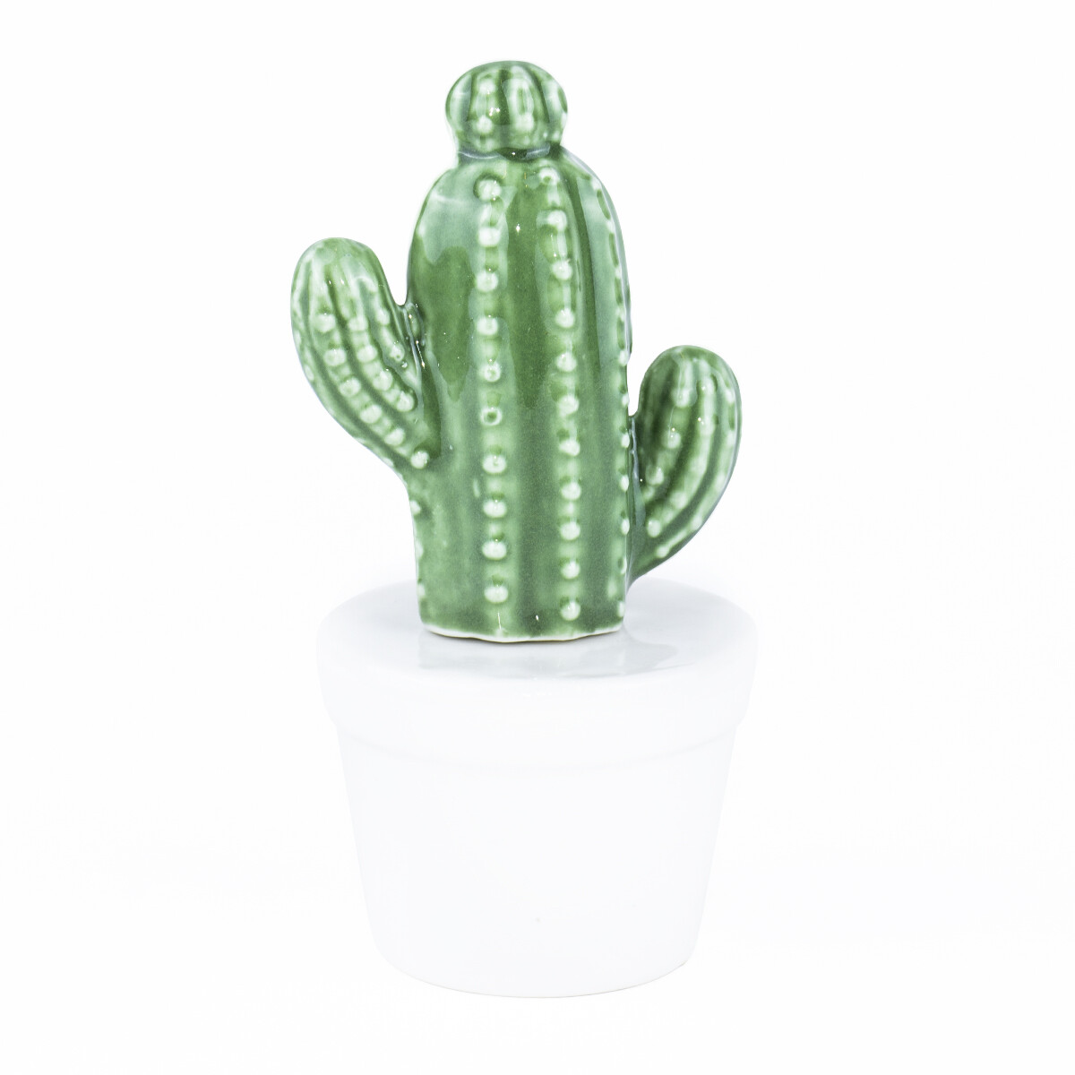 Cactus Cereus En Cerámica 