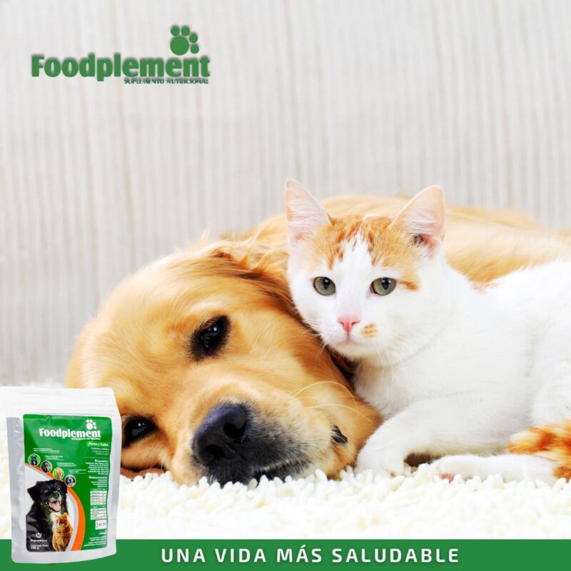 FOODPLEMENT SOBRE DE 100 G FOODPLEMENT SOBRE DE 100 G