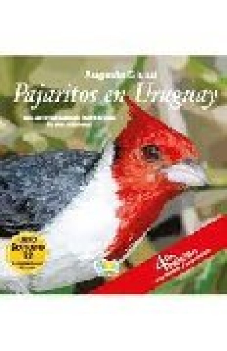 PAJARITOS EN URUGUAY 