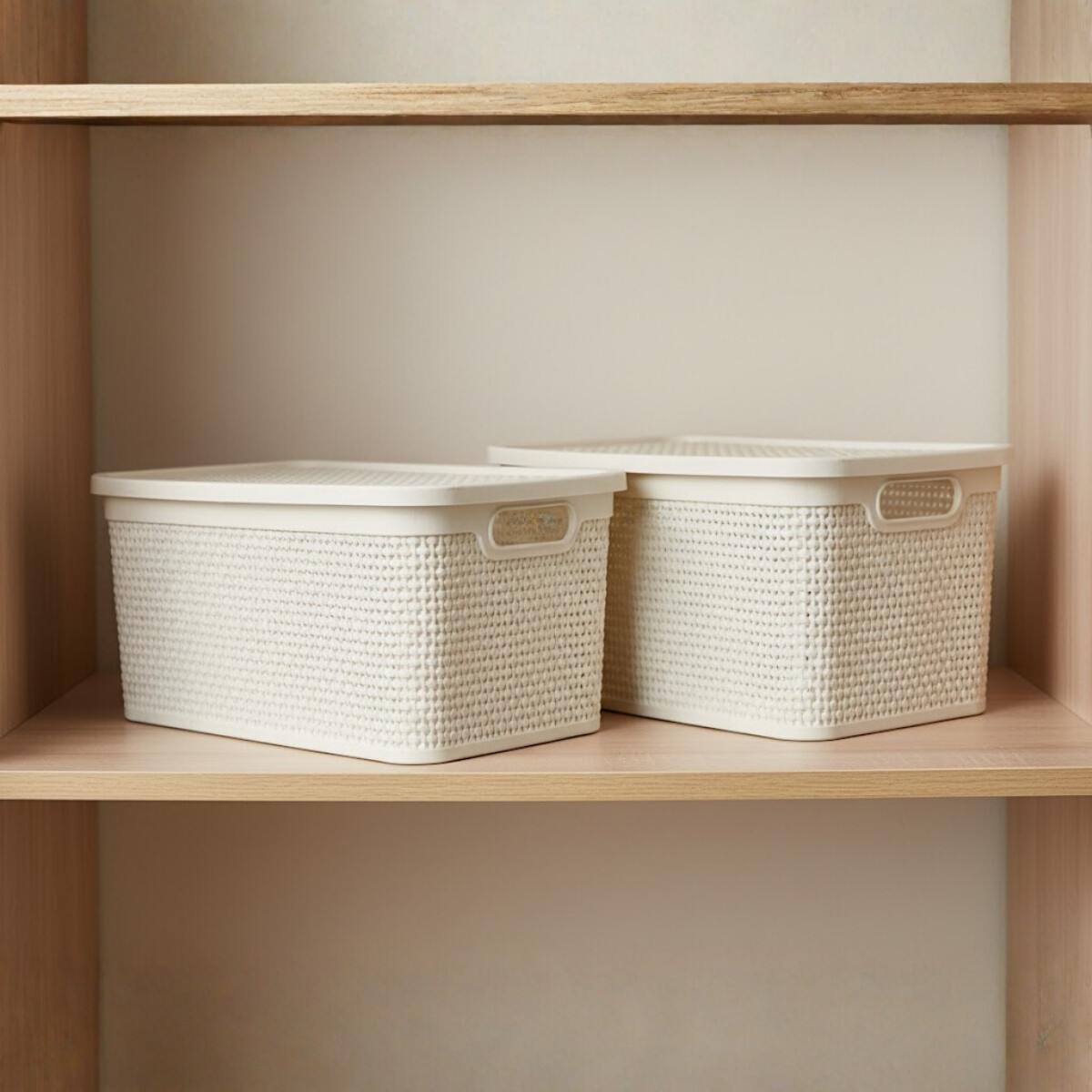 Set x2 Caja simil ratán 15 lts - BEIGE 