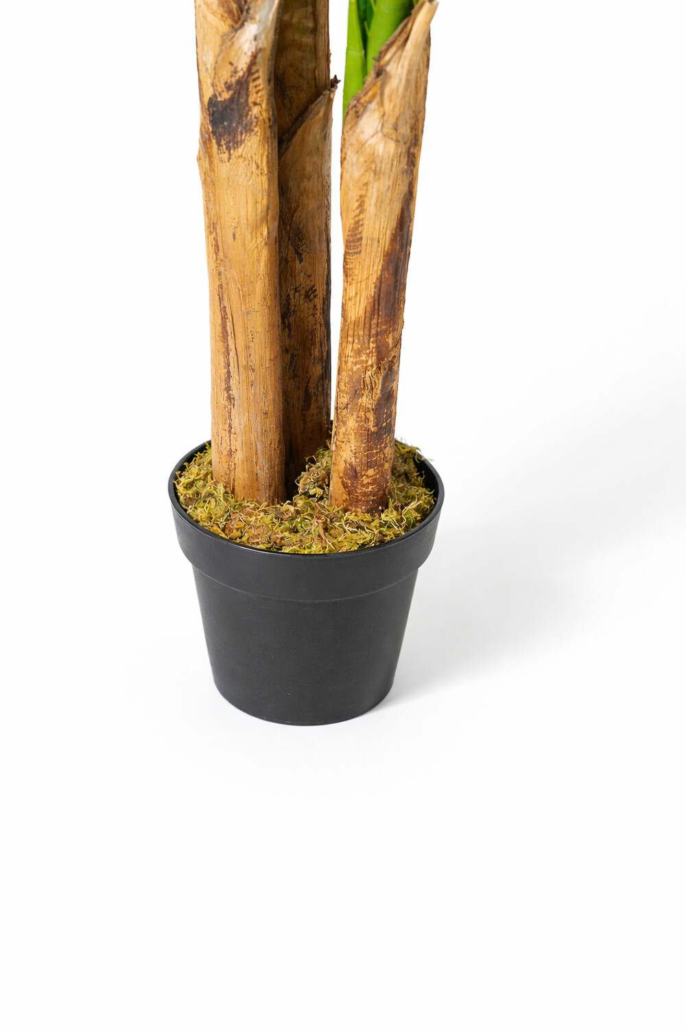 Planta Banana Tree 180cm Color Unico