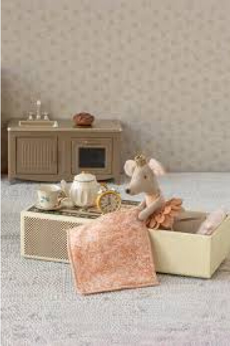 RATONA CON CORONA EN CAJA RATONA CON CORONA EN CAJA