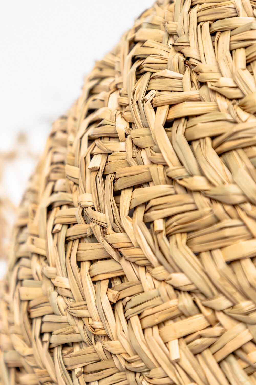 Pantalla Lyney Color Unico