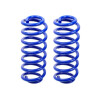 ESPIRAL PROGRESIVO TRASERO Espiral Progresivo Trasero