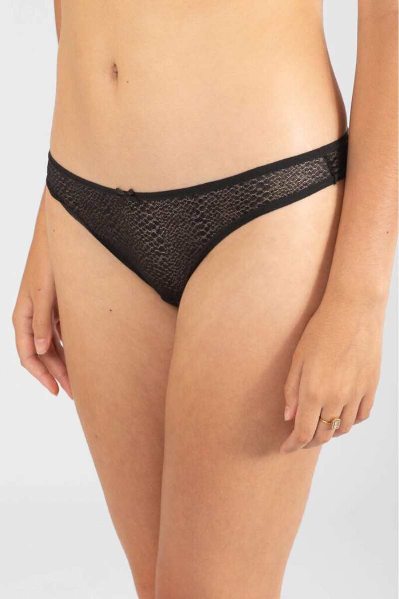 Colaless amaranto - Negro 