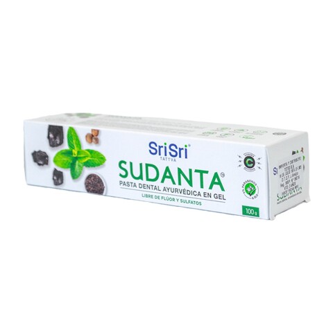 Pasta Dental Carbón Y Menta Sri Sri 100g Sudanta Gel Menta 100g