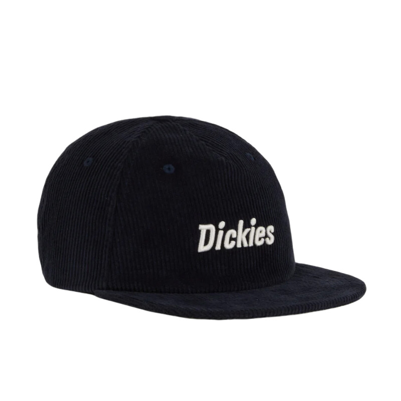Gorra Dickies Williston - Multicolor Gorra Dickies Williston - Multicolor