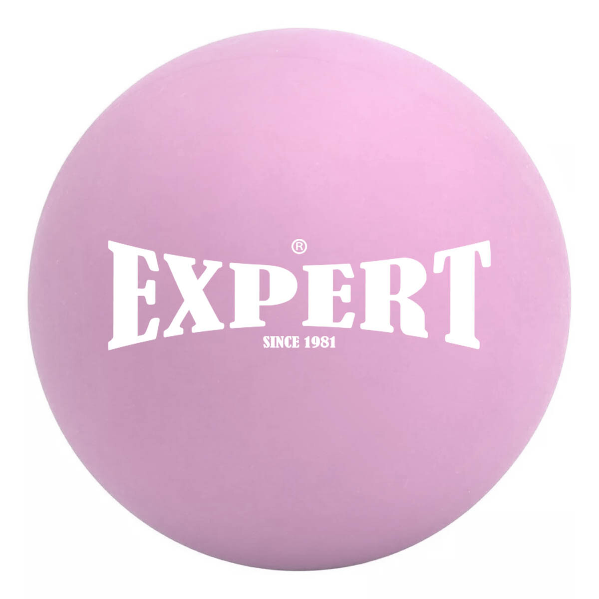 Bocha De Hockey Expert Para Entrenar Goma Gruesa 