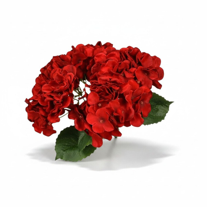 Ramo de 5 Hortensias Roja