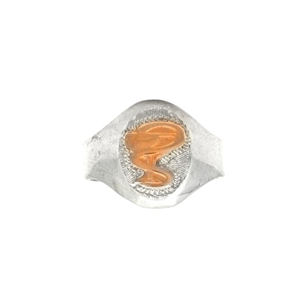Anillo Profesión Auxiliar de Farmacia -Plata y Oro-Sin Piedra-AP5020 sinpiedra