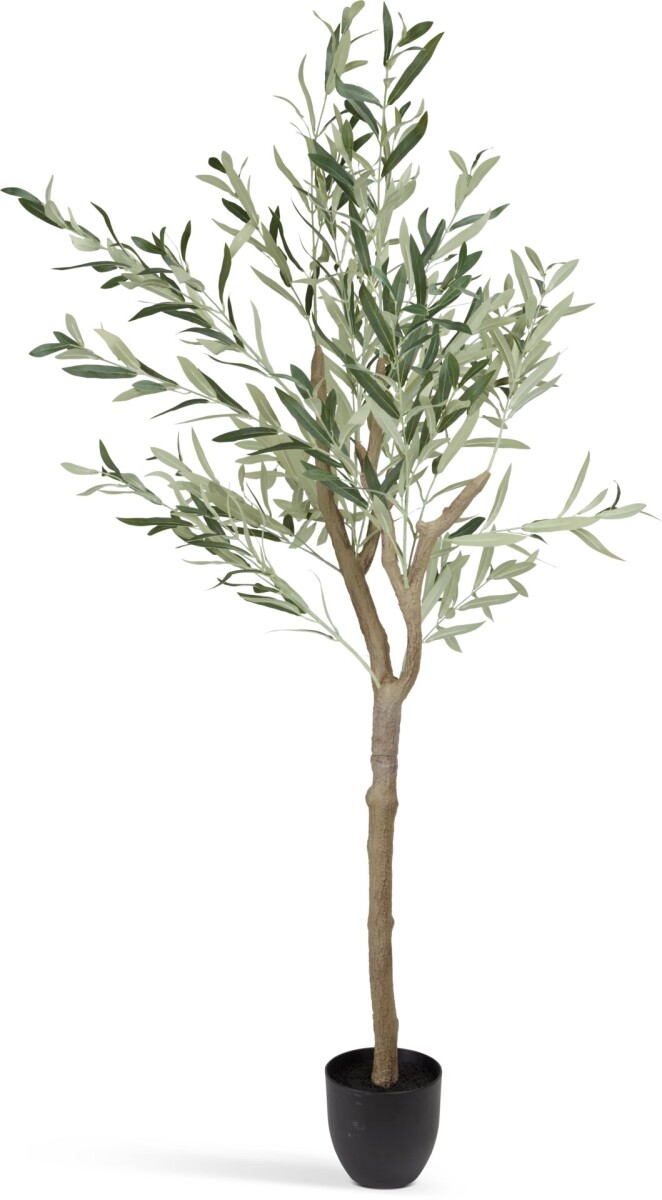 Planta artificial HAVHEST A160cm olivo 