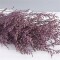 Ramo Frondoso De Flores Secas Violeta