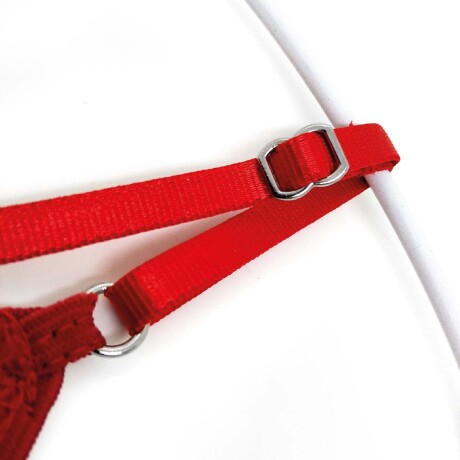Tanga Con Strass Y Tiras Regulables Rojo