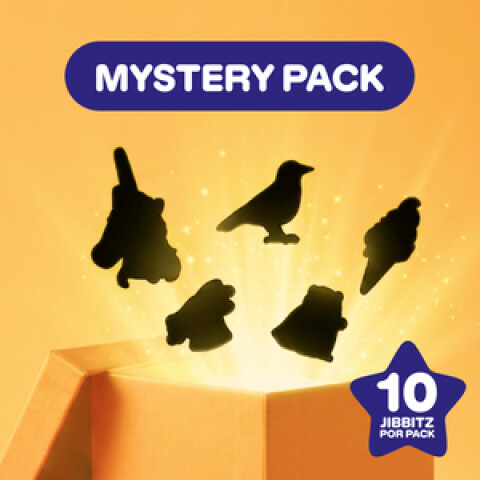 Mystery 10 Pack Multicolor