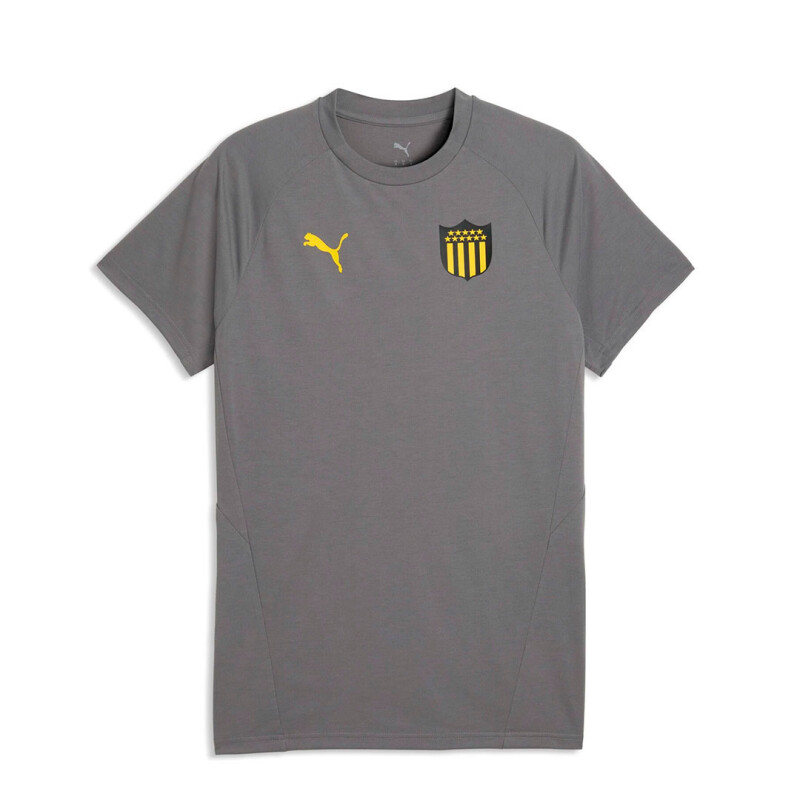 Remera de Hombre Puma Peñarol Evostripe Tee Gris - Amarillo