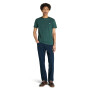 Polo Oyster River Manga Corta Slim Fit Hombre Green Gables