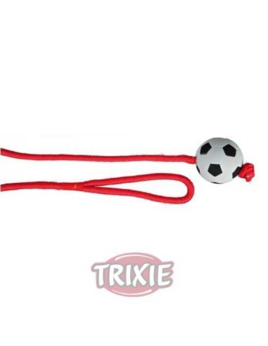 FOOTBALL ON A ROPE, FLOATABLE, FOAM RUBBER, Ø 6 CM/1.00 M 