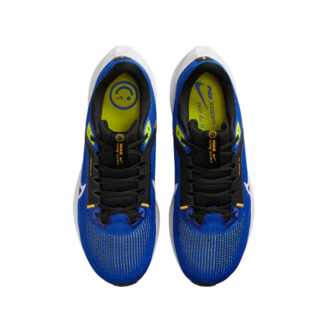 Championes Nike Pegasus 40 Blue