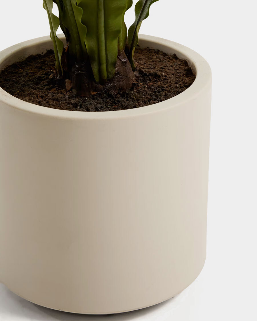 Planta artificial Neottopteris con maceta blanca 70 cm Planta artificial Neottopteris con maceta blanca 70 cm