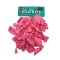 Globo Pastel x50 Und Fessta Pink